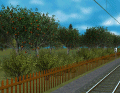 Screenshot Bäume und Pflanzen